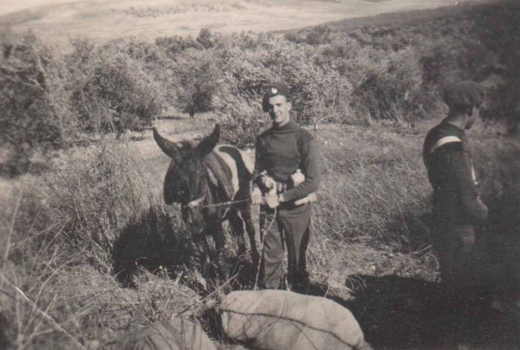 Mule Company, Italy 1944.